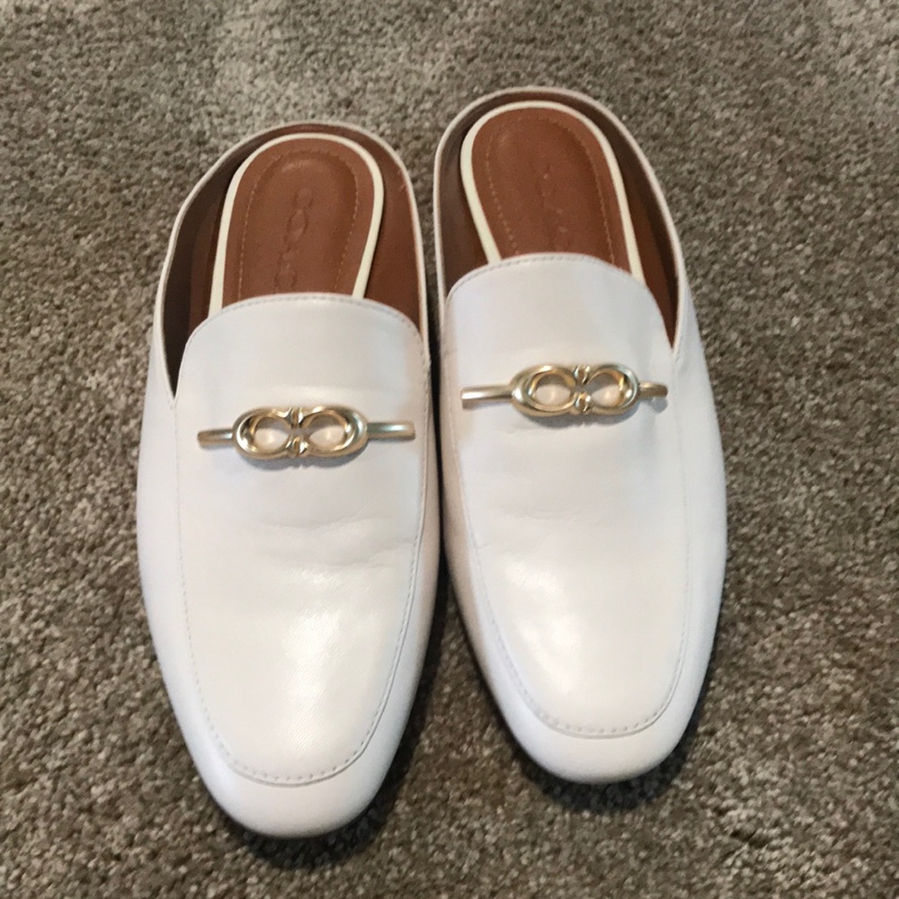 Coach slides